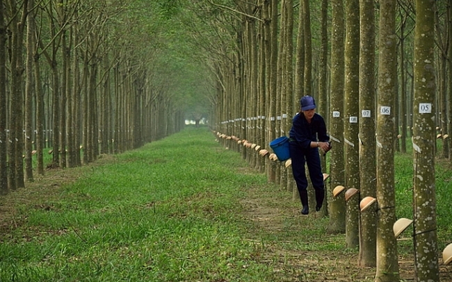 PHR giảm sâu phiên đầu tuần