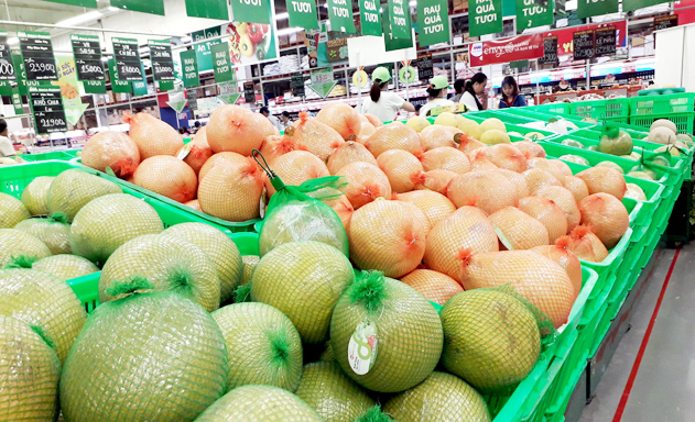 Học người Mỹ xuất khẩu trái cây
