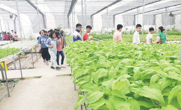 HTX An Phát xây dựng chuỗi liên kết để phát triển bền vững