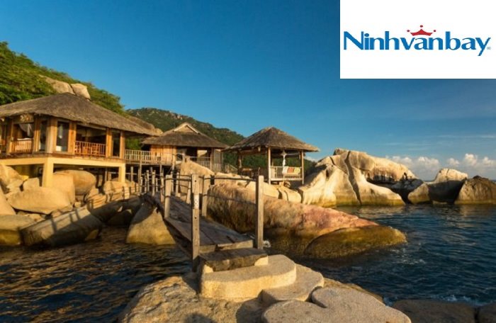 Có lãi trở lại, NVT lập tức tăng trần