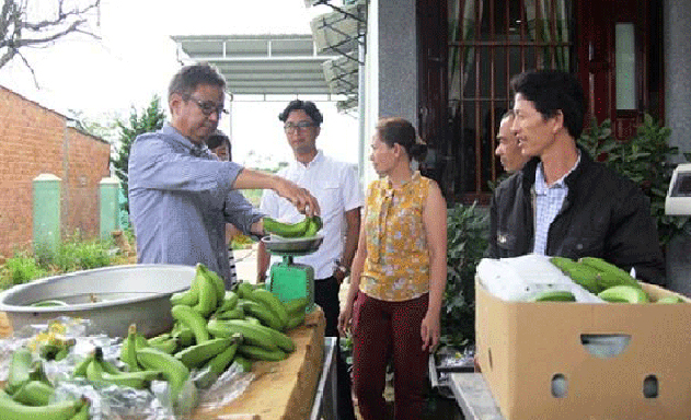 Độc đáo ý tưởng khởi nghiệp với chuối Laba