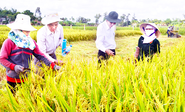 HTX Tịnh Trà mở rộng liên kết để thúc đẩy sản xuất