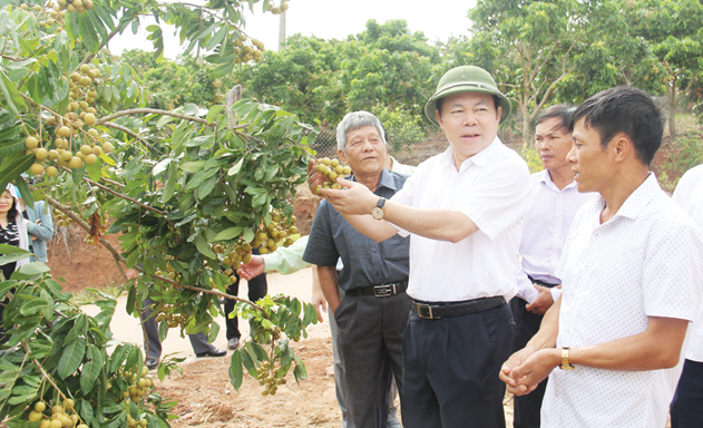 Phát triển HTX nhìn từ mô hình HTX Phương Nam