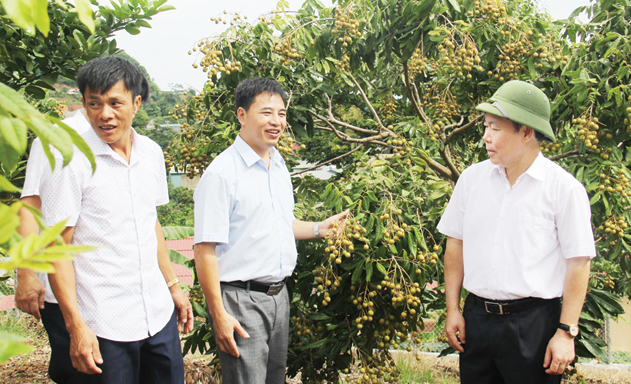 Sơn La đẩy mạnh phát triển hợp tác xã