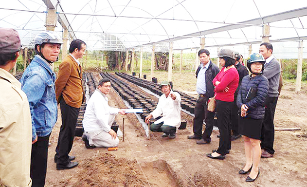 An Khê (Gia Lai): HTX là điểm sáng xây dựng nông thôn mới