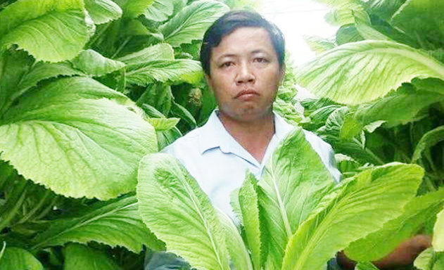 Khởi nghiệp với mô hình trồng rau không đất