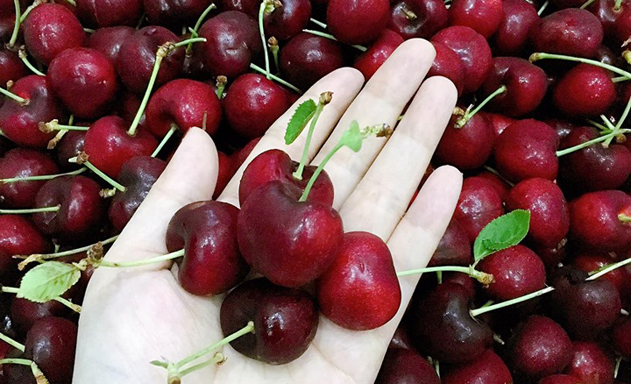 Cơn bão thực phẩm ngoại đổ bộ