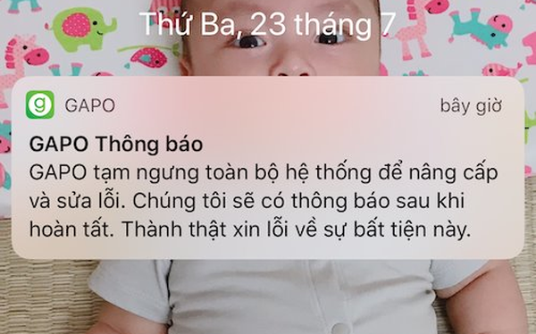 Bị lỗi trong ngày đầu ra mắt, mạng xã hội Gapo thông báo bảo trì hệ thống