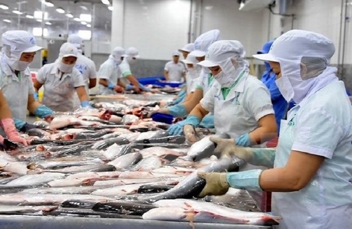 VHC tiếp tục điều chỉnh