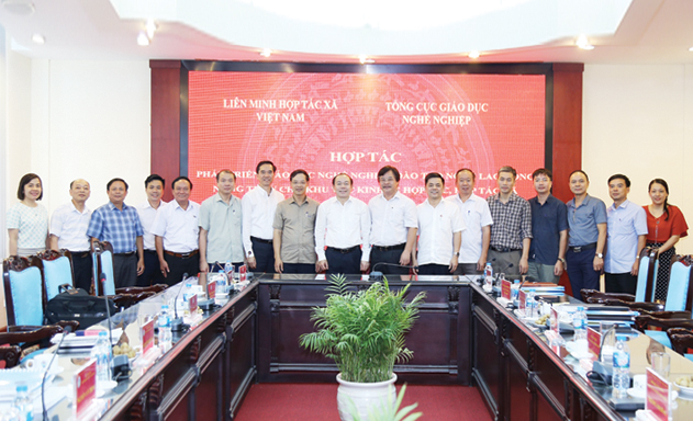 Đẩy mạnh đào tạo nghề cho khu vực kinh tế hợp tác, HTX