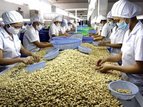 Vinacas khuyến cáo doanh nghiệp không bán điều 'non'