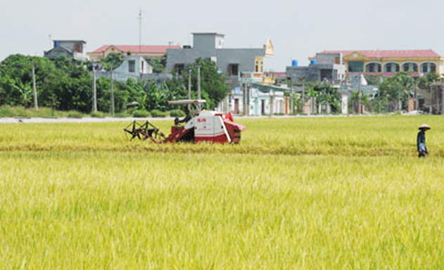 HTX dịch vụ thích ứng trong thời kỳ mới