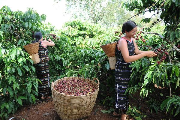 Én Xanh 2019 - Tìm kiếm các sáng kiến kinh doanh vì phát triển bền vững