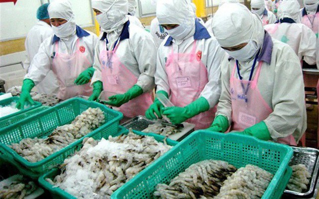 Nửa năm, xuất khẩu tôm giảm 12% so cùng kỳ