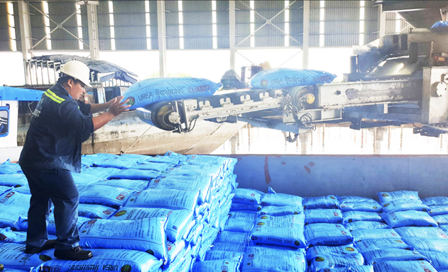 Đạm Cà Mau: Nỗ lực vượt khó bằng nhiều giải pháp thiết thực