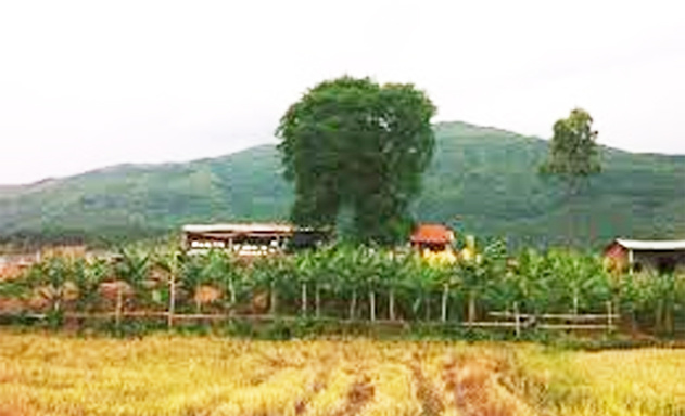 HTX-Dai-Dong-Phat-Quang-Nam-Ta-9840-3276