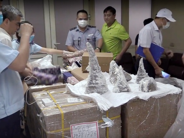 Phát hiện 55 khúc sừng tê giác ngụy trang trong thạch cao