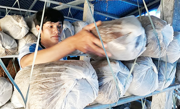 Hai chàng trai rẽ lối khởi nghiệp với nông nghiệp