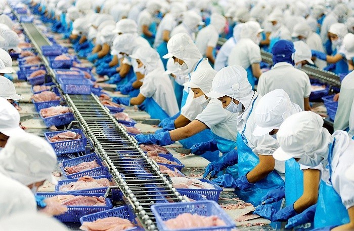 VCSC khuyến nghị mua VHC