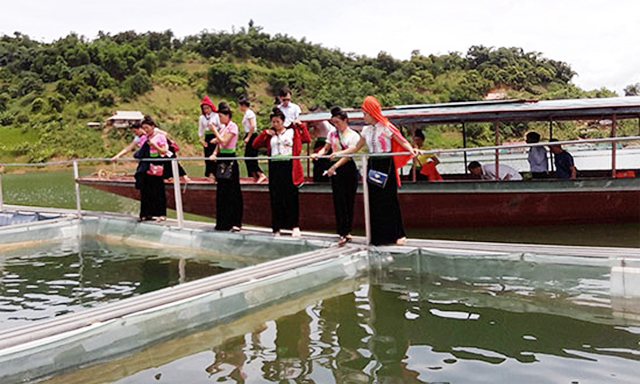 Những doanh nhân dân tộc Thái phát triển HTX