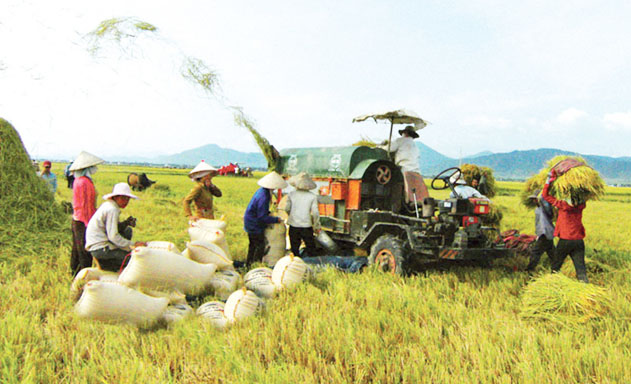 Phát triển ngoạn mục nhờ Luật HTX 2012