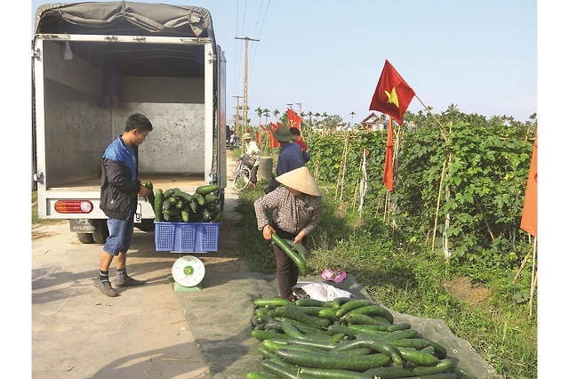 HTX Hợp Thành: Mở hướng đi mới nhờ Luật HTX 2012
