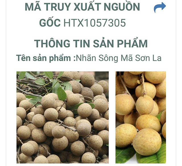 Nhan-Song-Ma-4-8384-1564883427.jpg