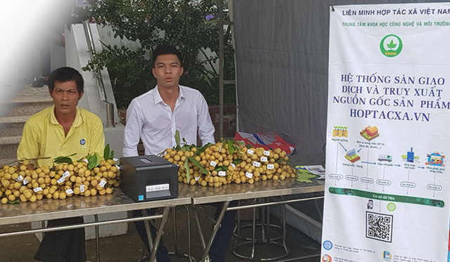 Nhan-Song-Ma-8-8707-1564883427.jpg
