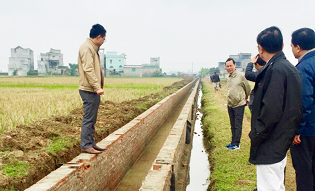 HTX Bắc Cường: Điểm tựa sản xuất của người dân địa phương
