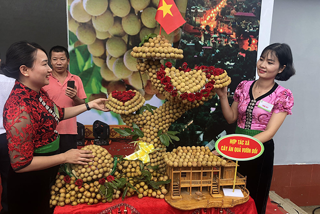 Sơn La xuất khẩu sản phẩm nhãn đầu tiên sang Trung Quốc