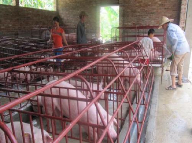 Phát triển đúng hướng để đón đầu thị trường