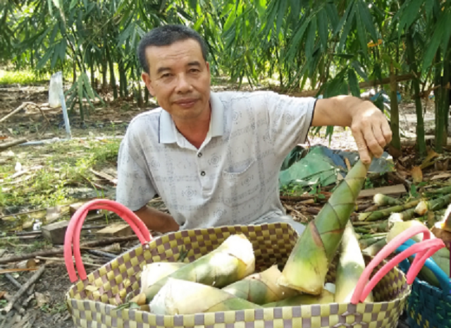 HTX Thành Tâm phất lên từ cây tre