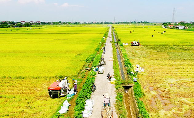 HTX Hải Dương (Vĩnh Phúc): Mở rộng sản xuất, đóng góp tích cực vào NTM