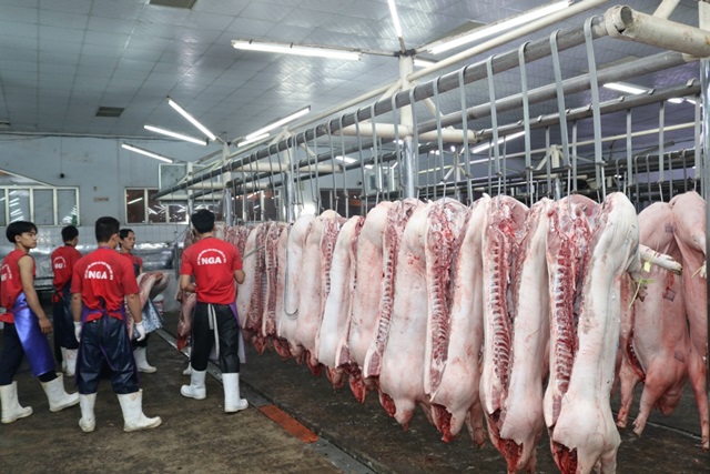 Giá lợn hơi tăng nhanh, hướng tới 60.000 đồng/kg