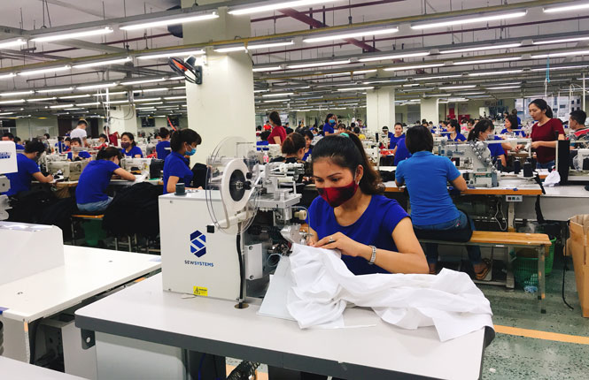 TNG hồi phục mạnh sau thông tin tăng trưởng