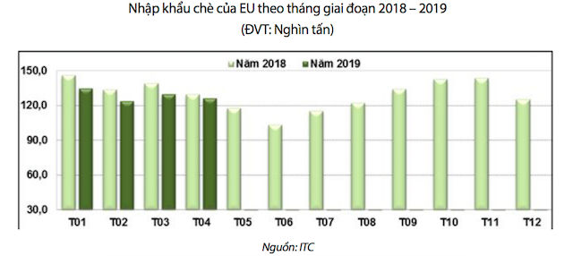 Chè Việt Nam chỉ chiếm 0,3% thị phần tại EU