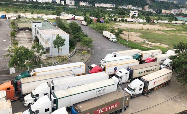 Nông sản ùn ứ vì xuất tiểu ngạch