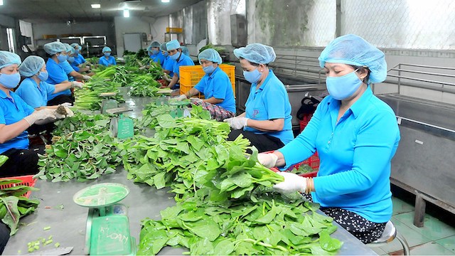 Hơn 4.600 tỷ đồng rót vào lĩnh vực kinh tế tập thể mỗi năm