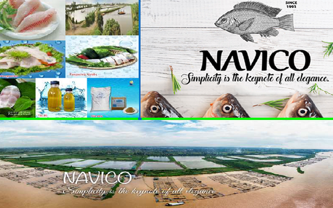 Mua ANV với giá mục tiêu 32.400 đồng/cp
