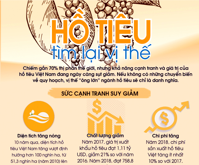 Tìm lại vị thế cho hồ tiêu Việt Nam