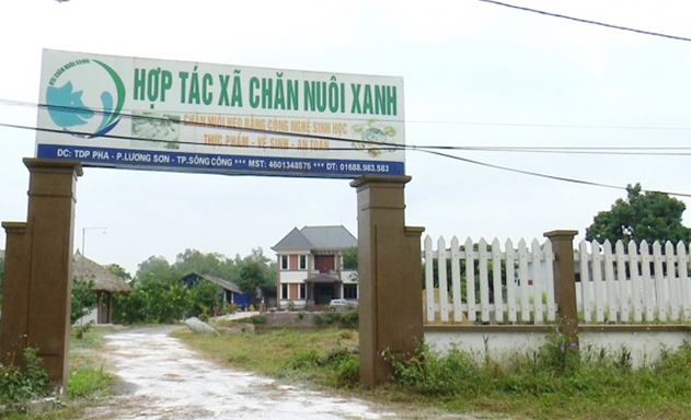 Không ô nhiễm nhờ chăn nuôi khép kín