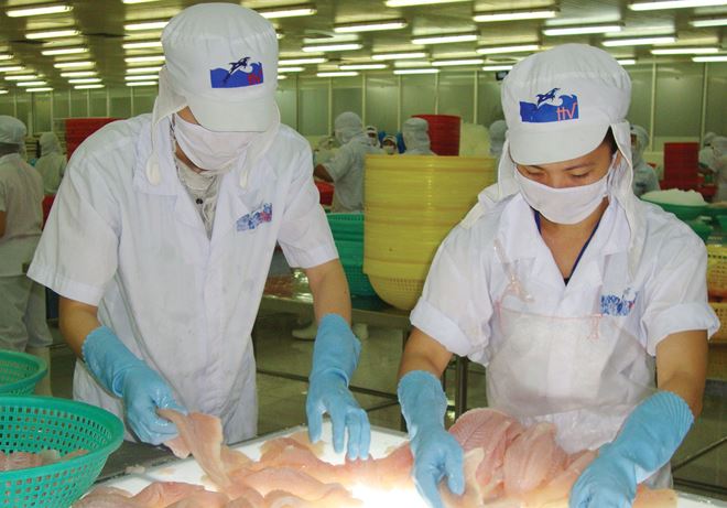 Cổ phiếu HVG dậy sóng