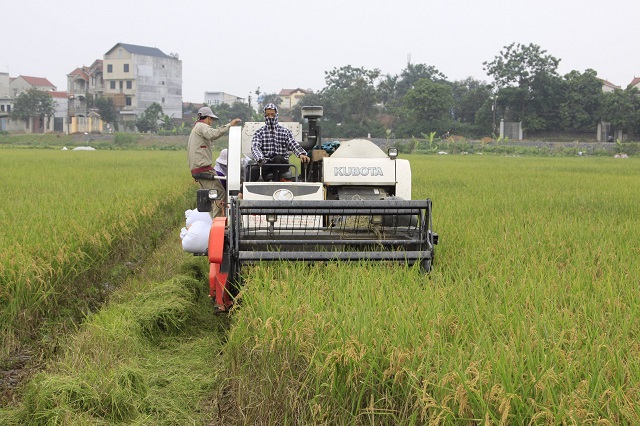 Chinh phục thị trường khó tính bằng phương thức sản xuất hữu cơ