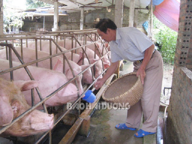 Cách làm của HTX Nam Hưng ứng phó với biến động thị trường
