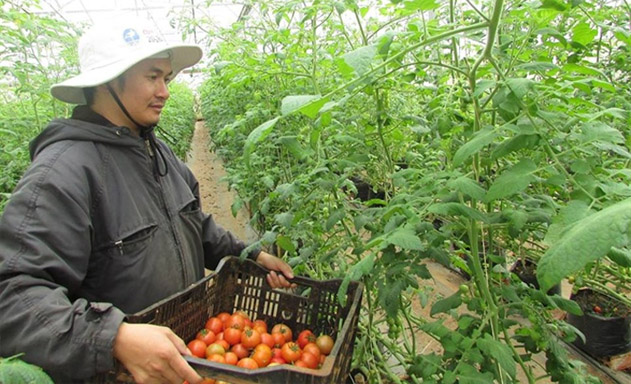 HTX Nam Sơn liên kết để tránh 'đổ đống'