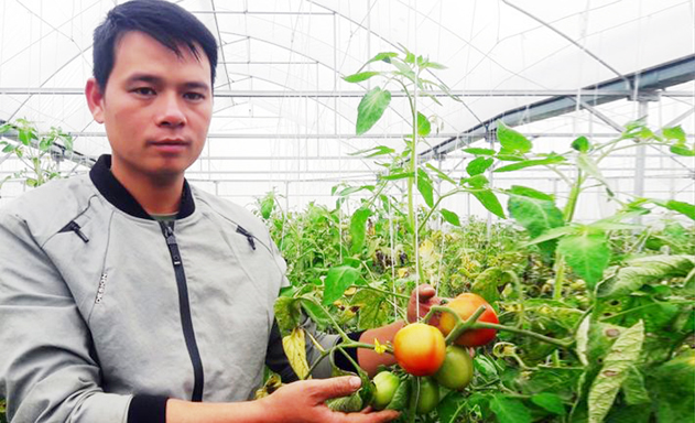Tích lũy kinh nghiệm từ Nga về quê lập nghiệp