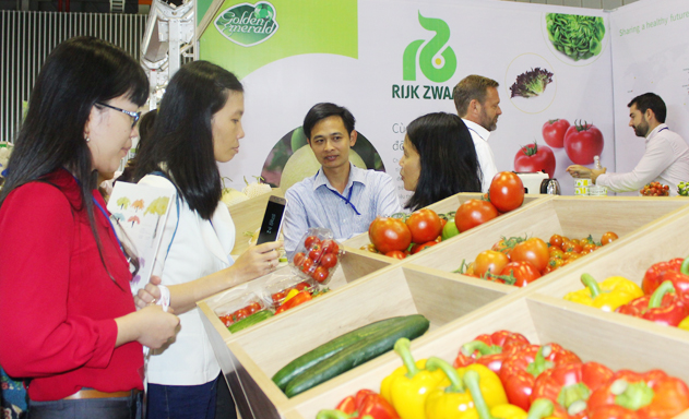 Xuất khẩu đa kênh vào thị trường có FTA