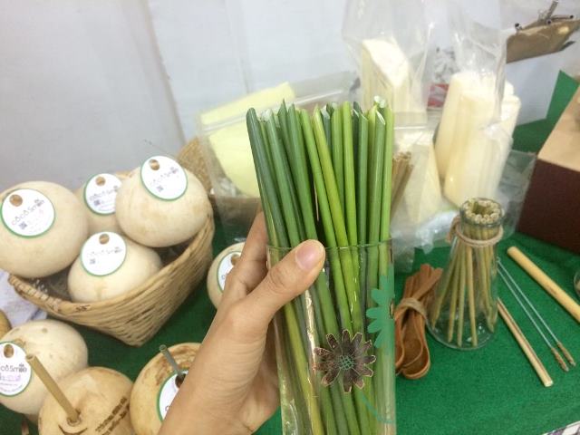 Tạo nhiều sản phẩm thân thiện với môi trường từ cây cỏ bàng