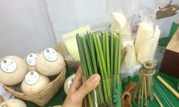 Tạo nhiều sản phẩm thân thiện với môi trường từ cây cỏ bàng