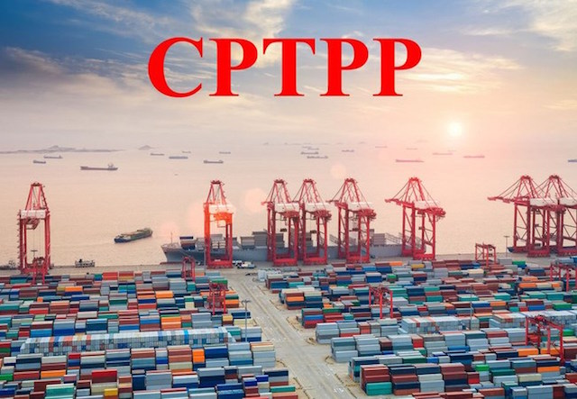 Tận dụng cơ hội từ CPTPP, ngành nhiều nhất chỉ đạt 10%